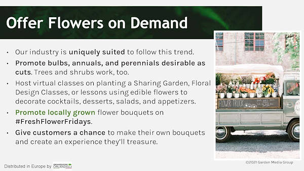 Garden Trends Report - Part Three