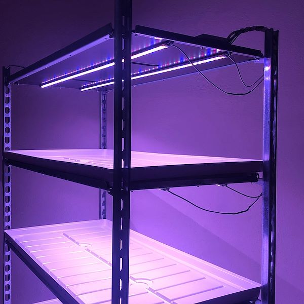 DC trolley with led lights kit for microgreens