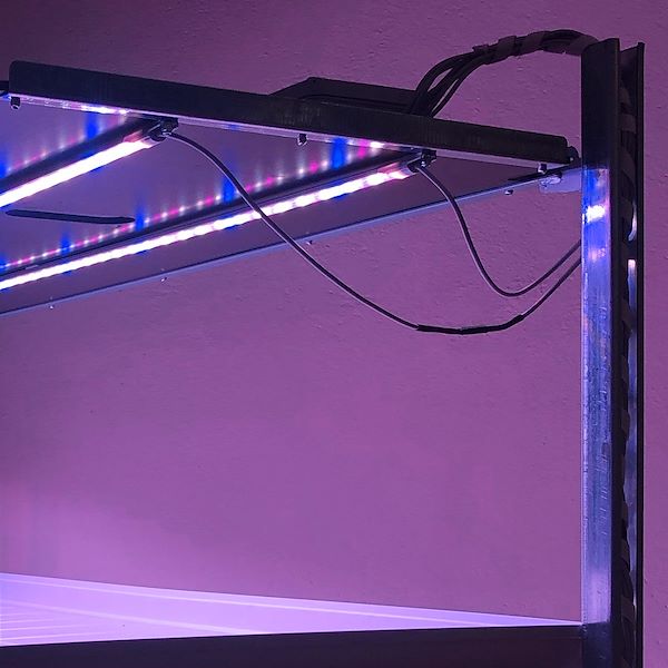 DC trolley with led lights kit for microgreens