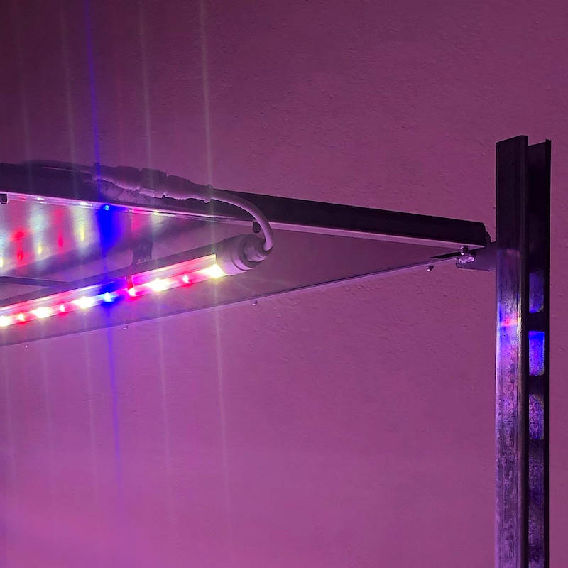 DC trolley with led lights kit for microgreens