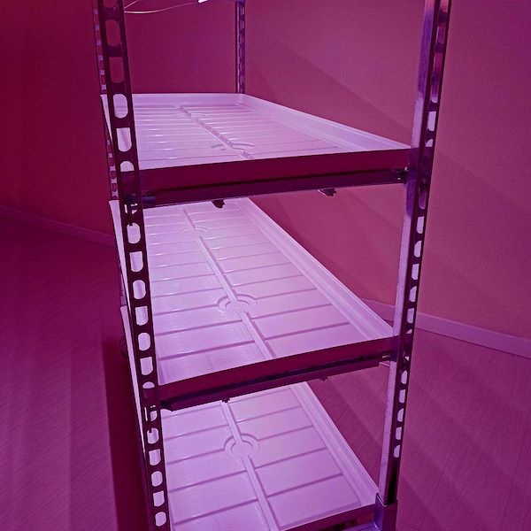 Wire-mesh trolley with LED lights kit for microgreens