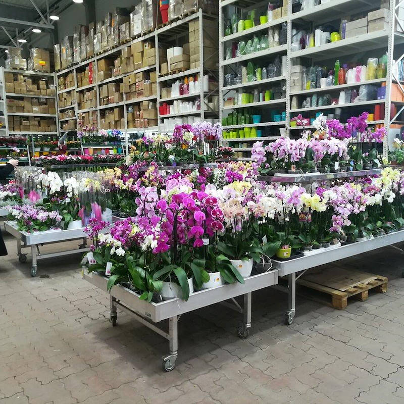 Welded aluminium bench on wheels