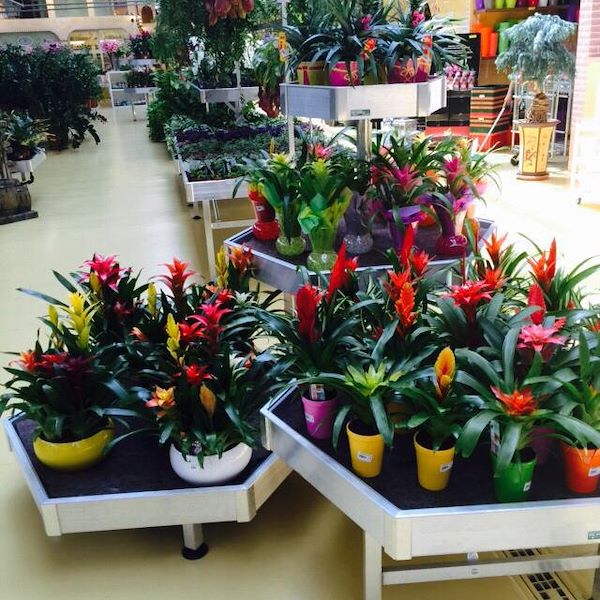 Выставочный набор из шестигранных столиков