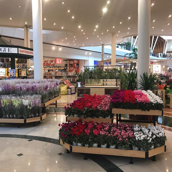 Деревянный стол линии AMOR