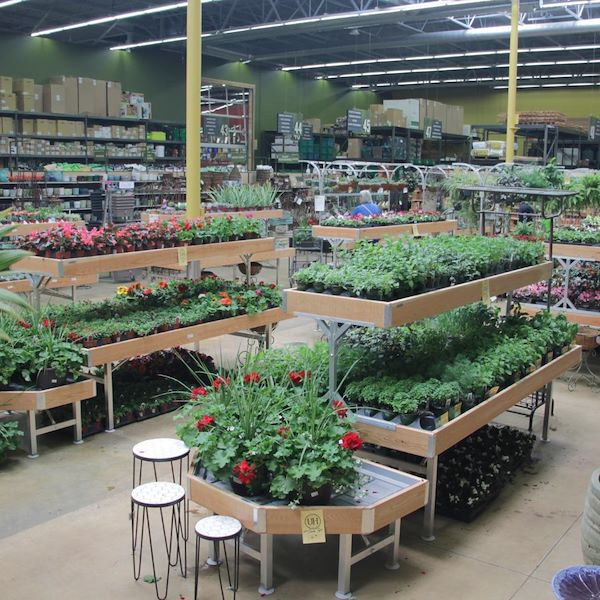 End cap (приставка) деревянная линия AMOR