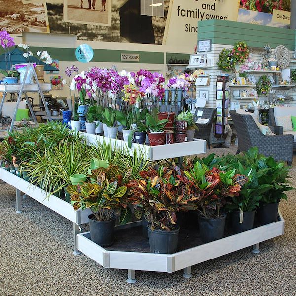 End cap (приставка) деревянная линия AMOR
