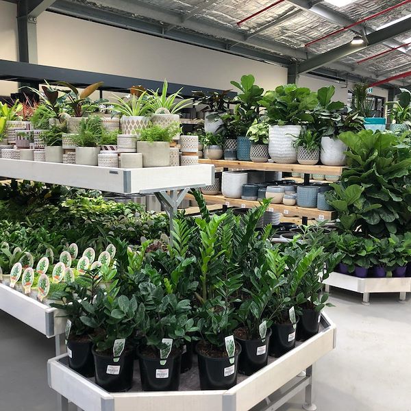 End cap (приставка) деревянная линия AMOR