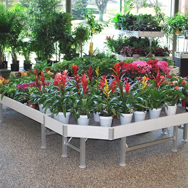 End Cap, Wood line AMOR