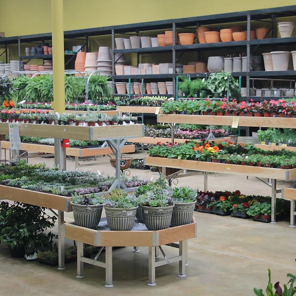 Надставка деревянная линия AMOR