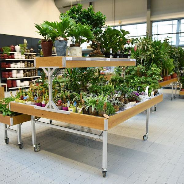 Надставка деревянная линия AMOR