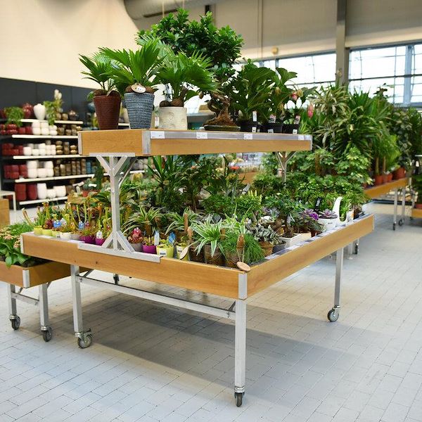 Top Bench / Mezzanine Wood line AMOR