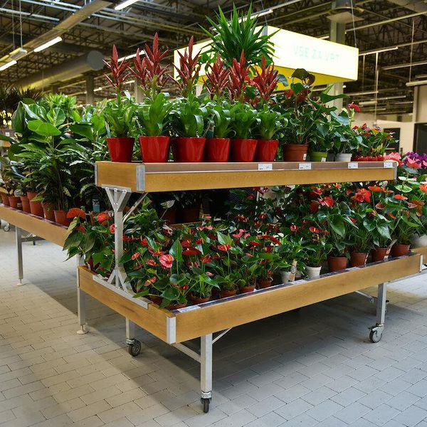 Надставка деревянная линия AMOR