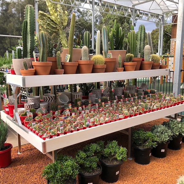 Надставка деревянная линия AMOR