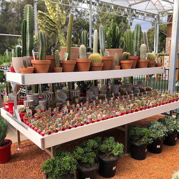 Надставка деревянная линия AMOR