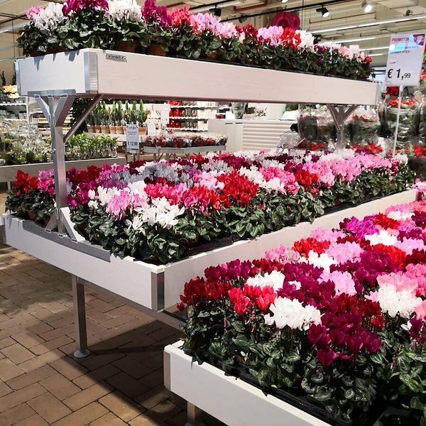 Надставка деревянная линия AMOR