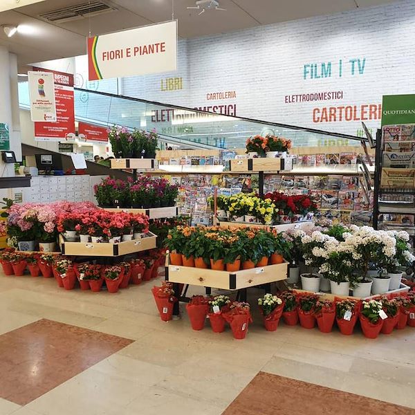 Шестигранный стол деревянная линия AMOR