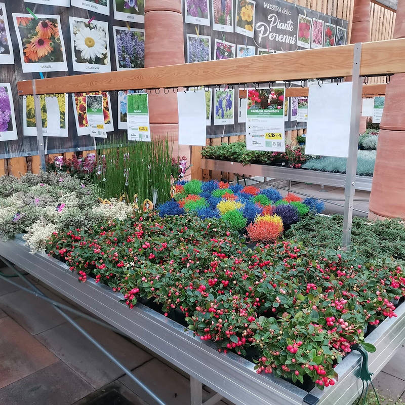 карточек из с регулируемой высотой для столов