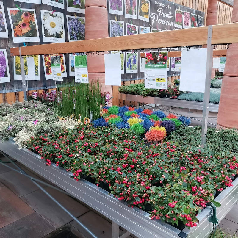 карточек из с регулируемой высотой для столов