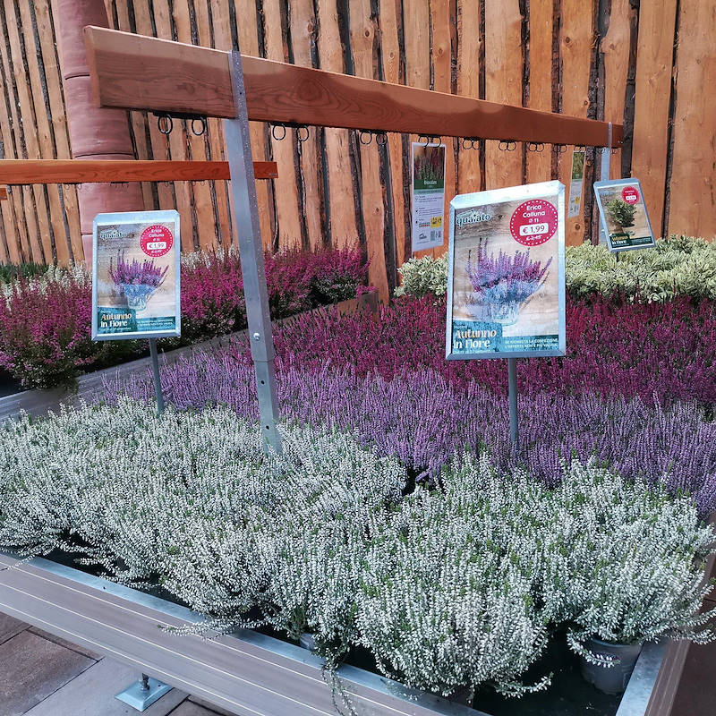 карточек из с регулируемой высотой для столов