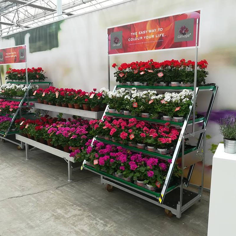 НАБОР ФИЛИНГ