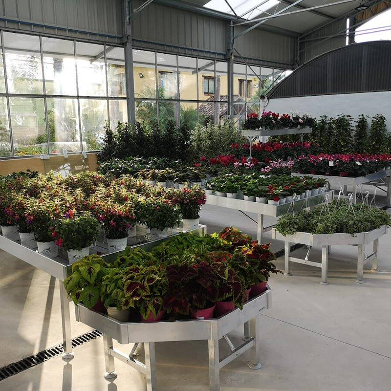 НАБОР ПРОМО-АКЦИИ