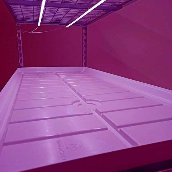 Тележка из проволочной сетки со светодиодной подсветкой для микрозелень