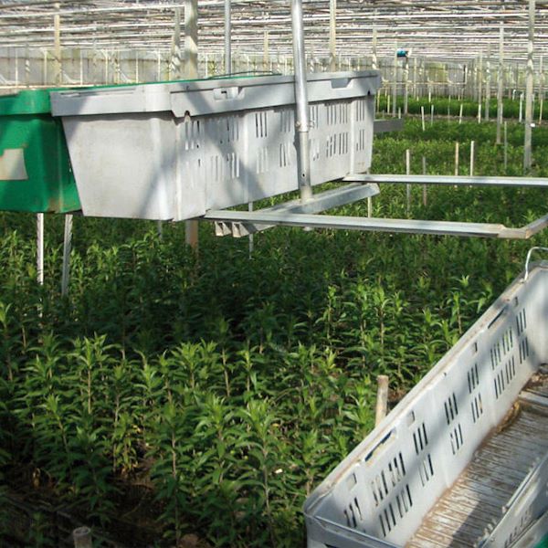 Universal container for cut flower transport