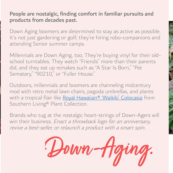 2023 Garden Trends Report - Part Two