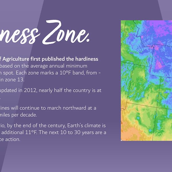 2023 Garden Trends Report - Part Three