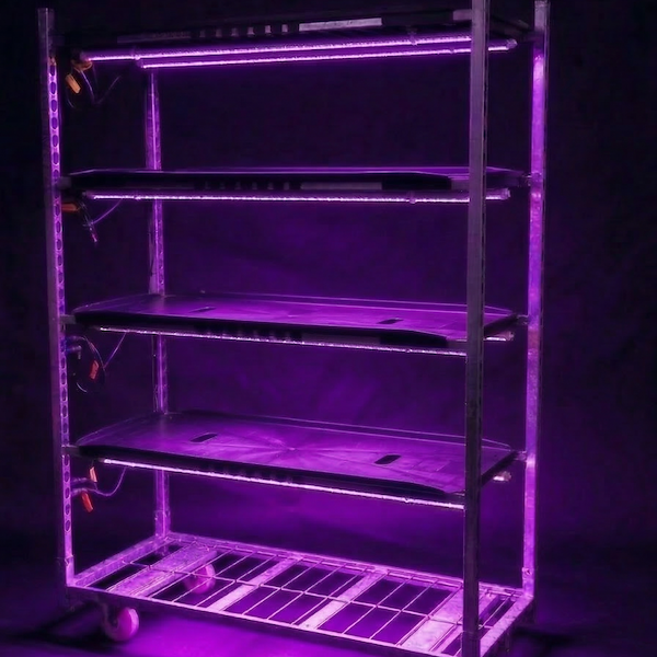 Carrello a griglia 1350 con luci led TUBE RED&BLUE PAR Fioritura