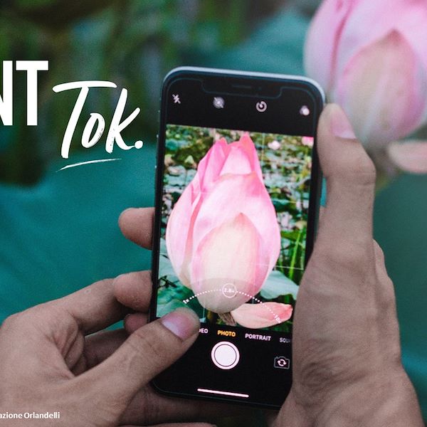 Отчет о тенденциях в сфере садоводства до 2023 года - Вторая часть