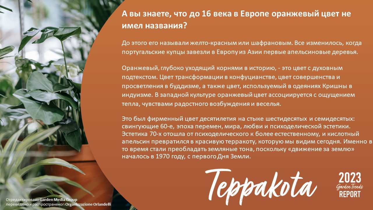 Терракота - p.36