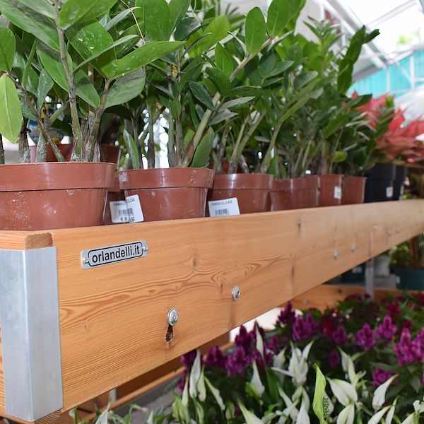 САДОВЫЙ ЦЕНТР ФЕЛЬТРИНА