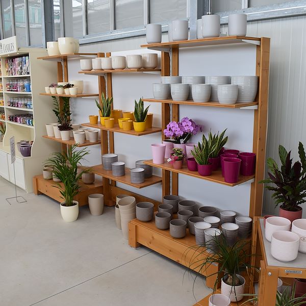 THE FELTRINA GARDEN CENTER