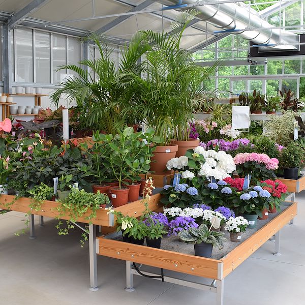 THE FELTRINA GARDEN CENTER