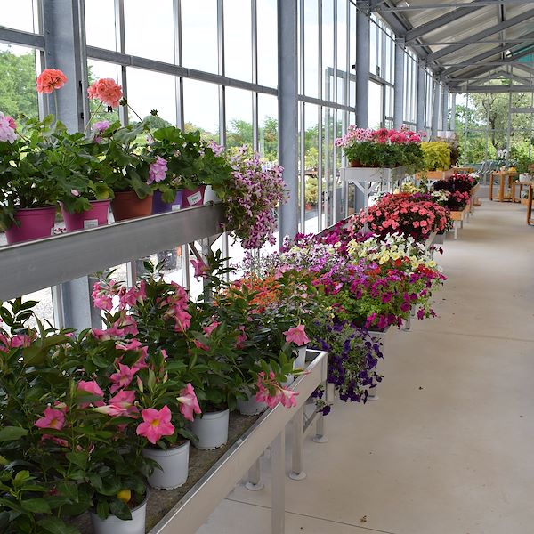 САДОВЫЙ ЦЕНТР ФЕЛЬТРИНА