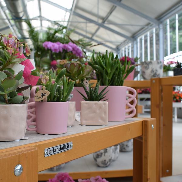 САДОВЫЙ ЦЕНТР ФЕЛЬТРИНА