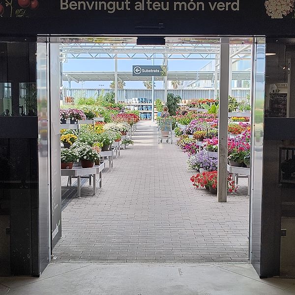 The indoor market
