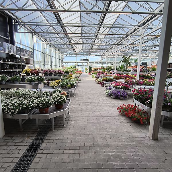 The indoor market