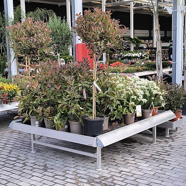 Outdoor plants