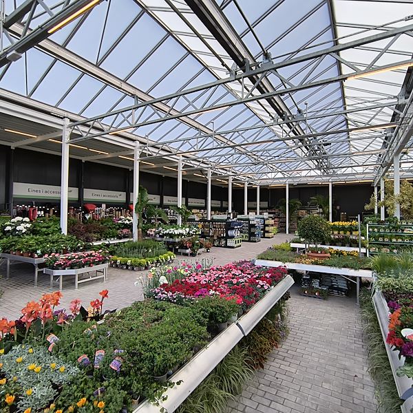 The indoor market