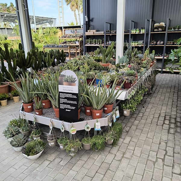 The indoor market