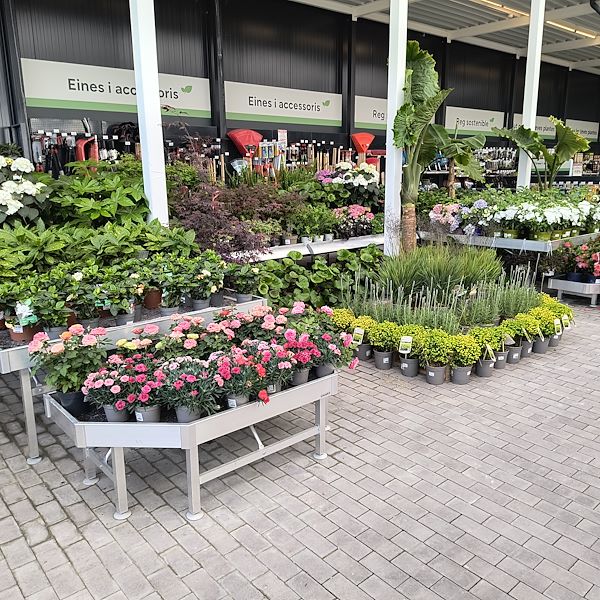 The indoor market