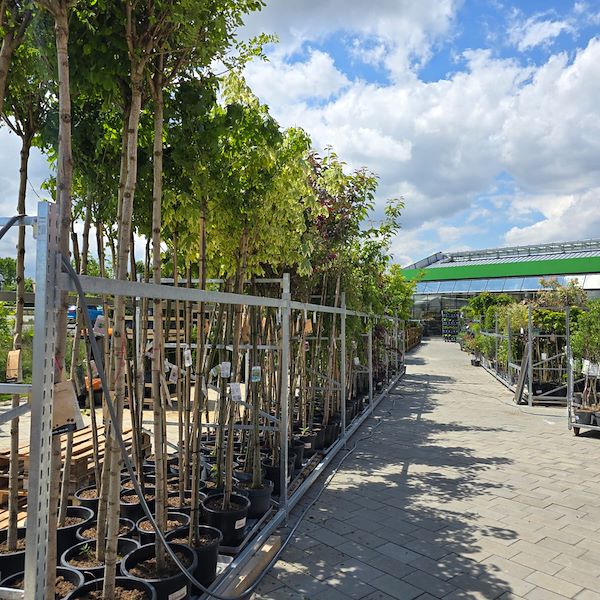 Открытие - PRAKTIS