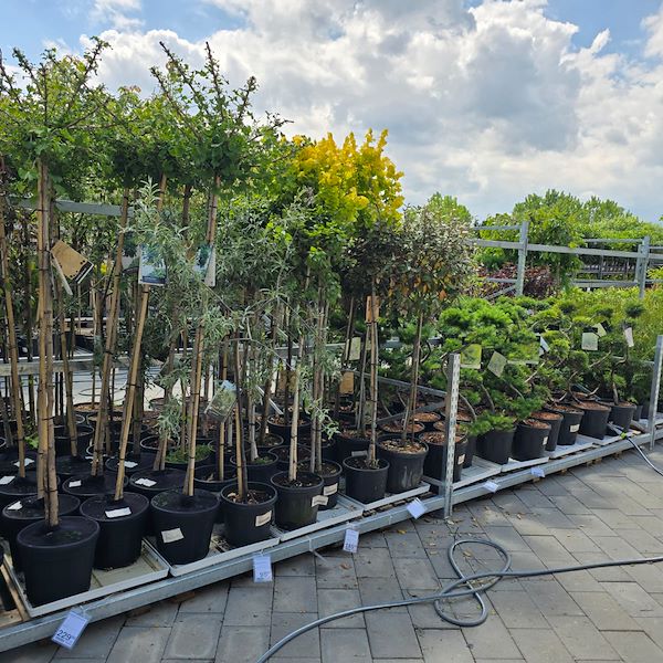 Открытие - PRAKTIS