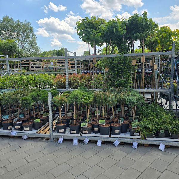 Открытие - PRAKTIS