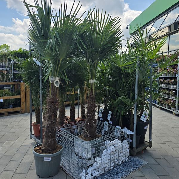 Открытие - PRAKTIS