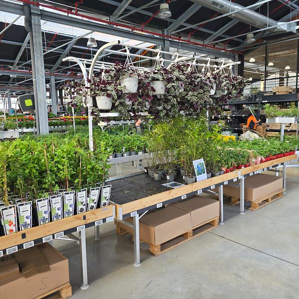 Открытие - PRAKTIS