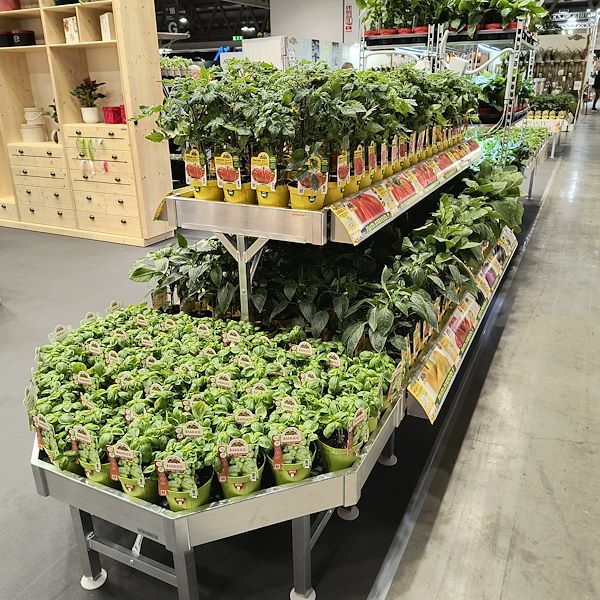 Vegetable and Herb Garden Set