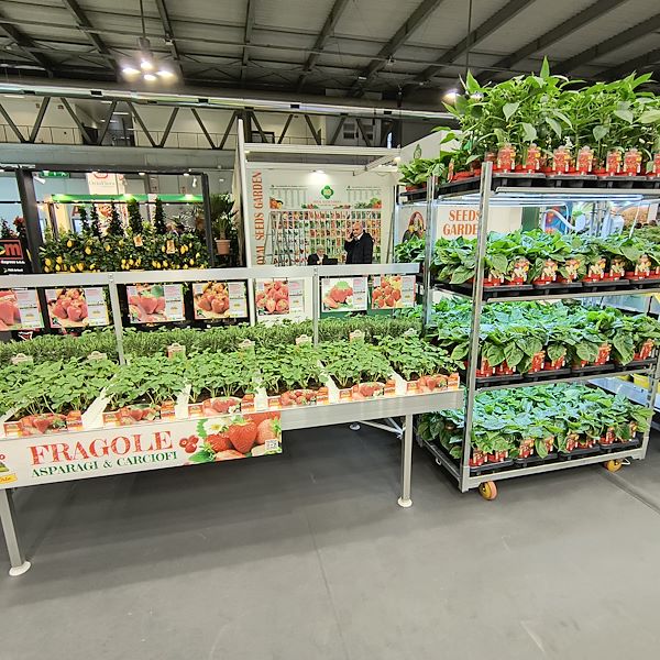 Vegetable and Herb Garden Set